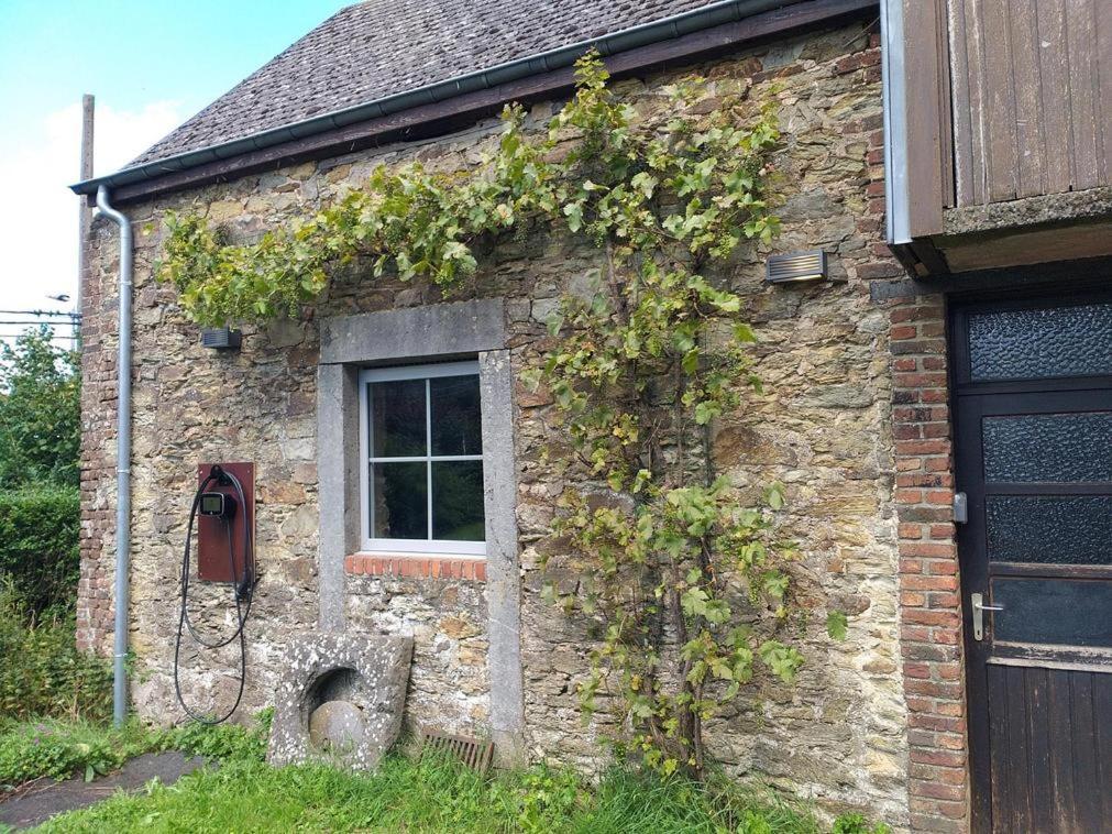 Maison Berton Gedinne Eksteriør billede